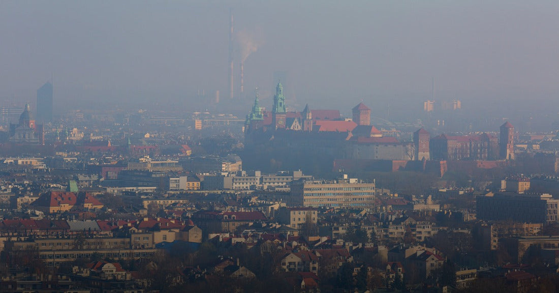 Witaminy kontra smog – zapobieganie i ochrona przed szkodliwym wpływem smogu na organizm